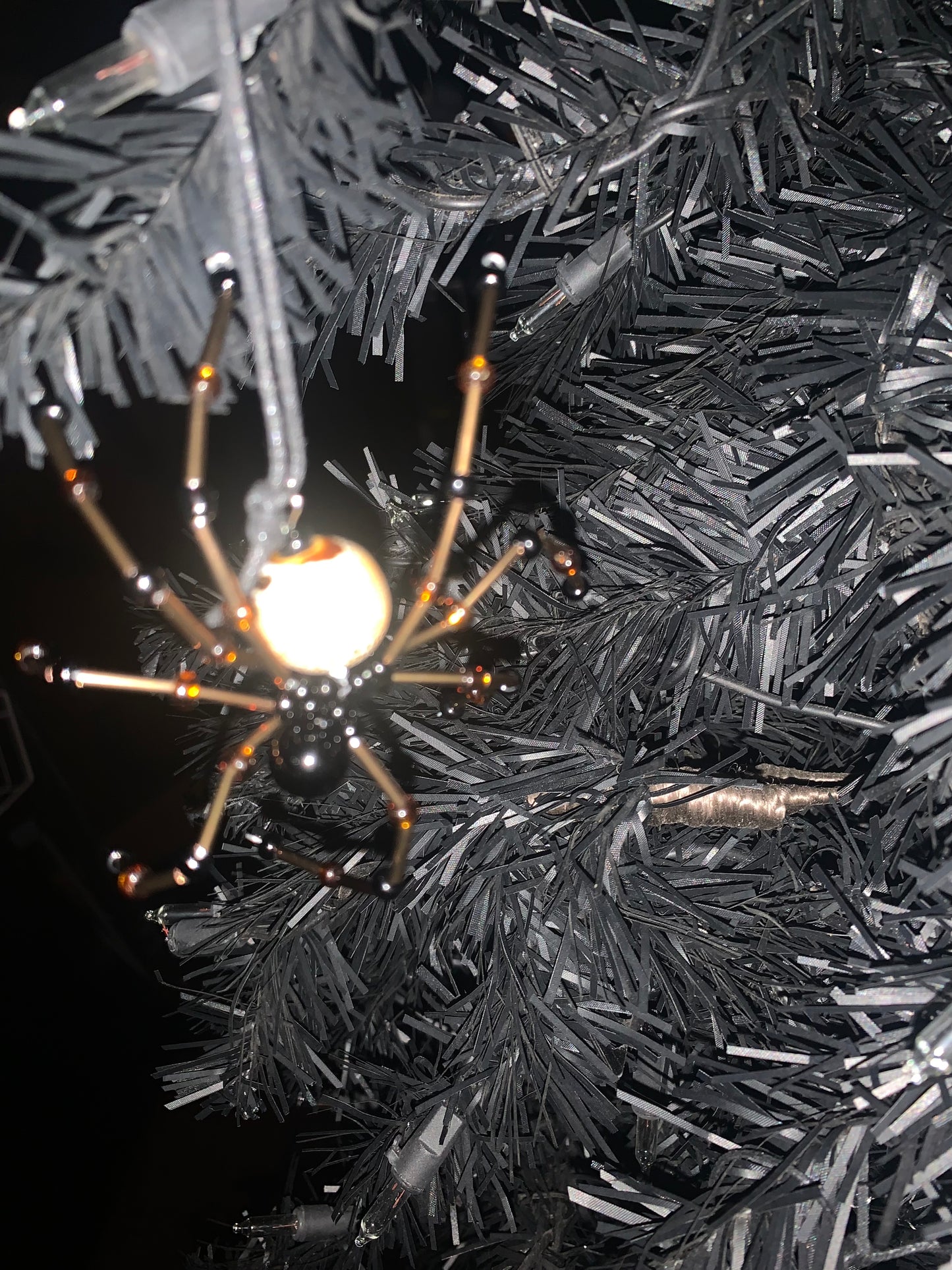 Holiday Spider